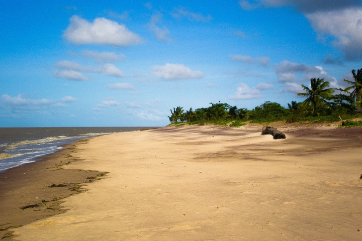 Le sentier des salines de Montjoly, Guyane