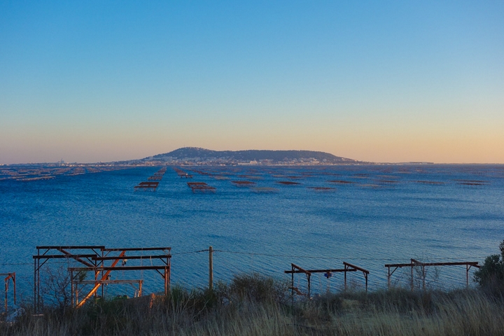 étang de Thau Hérault