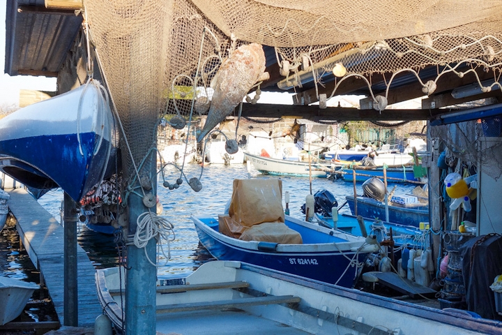 la pointe courte Sète