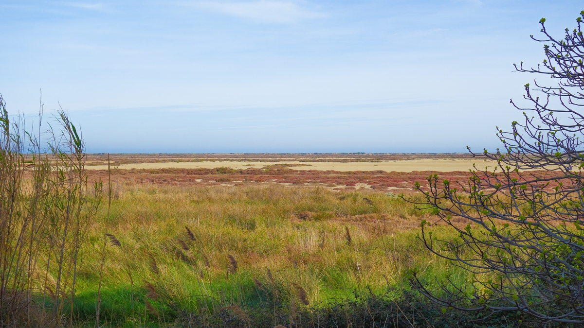 île sainte-lucie aude