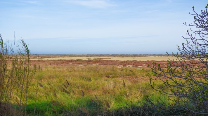 île sainte-lucie aude