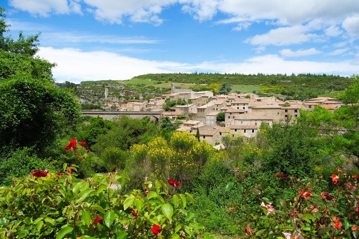 Minerve