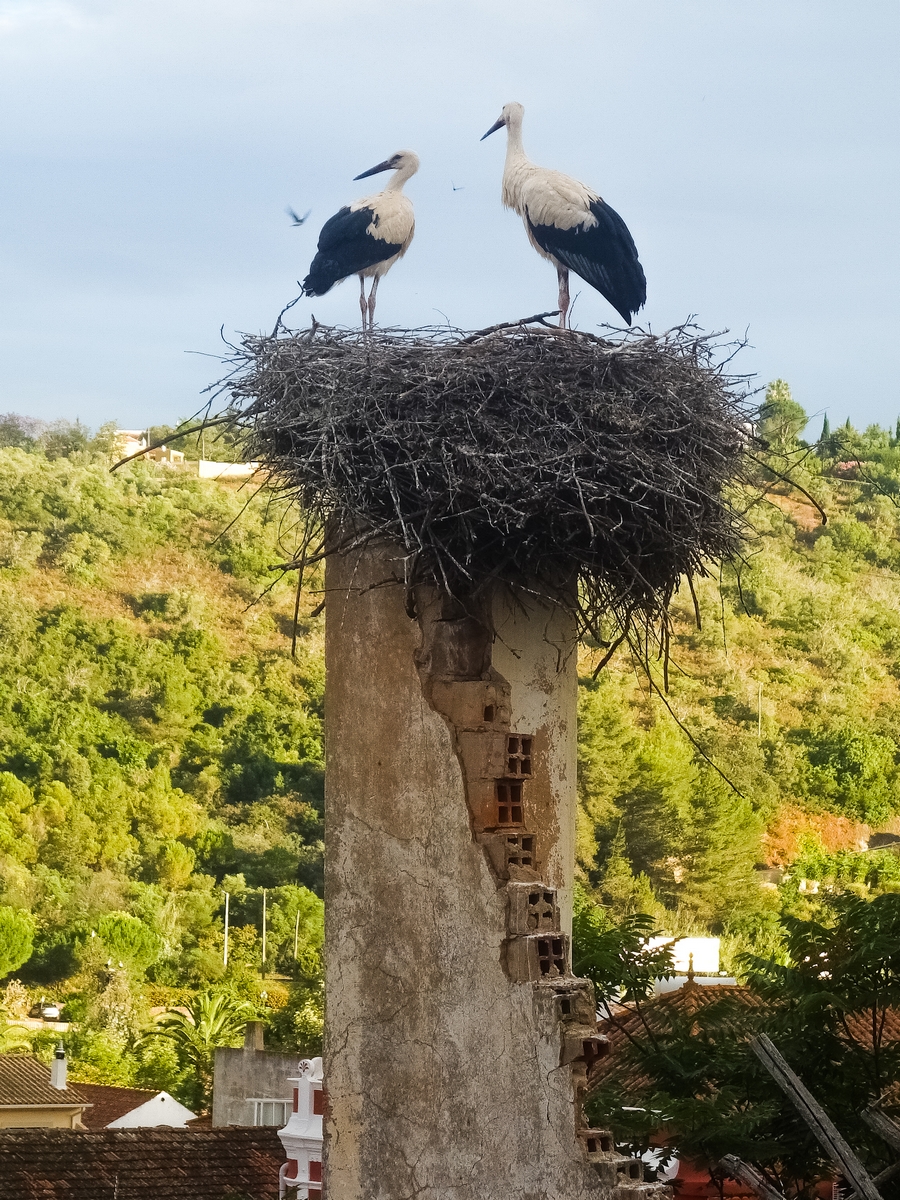 Silves Algarve Portugal