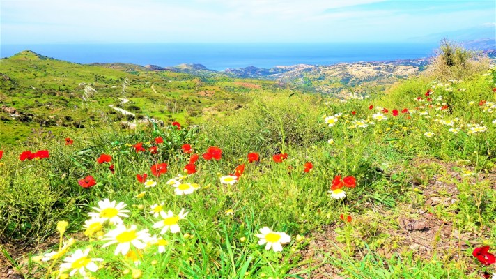 Road trip en Crète : itinéraire complet de 3 semaines et conseils pratiques