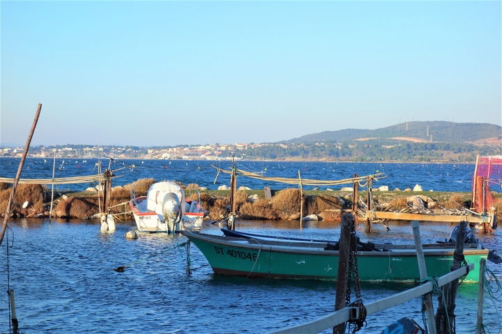 la pointe courte Sète