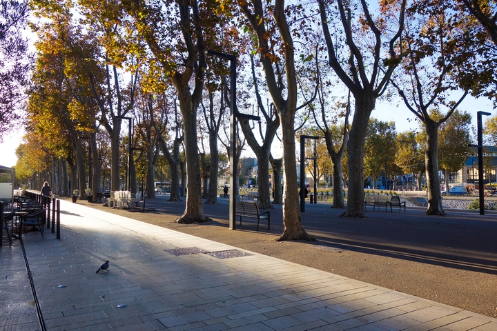 Allée des platanes Narbonne