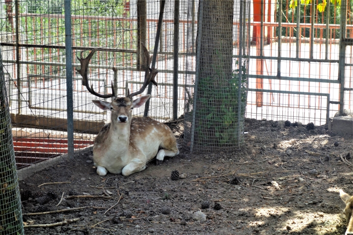 Le monastère de Panagia Kaliviani, Crète 