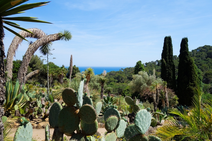 jardin botanique Blanes
