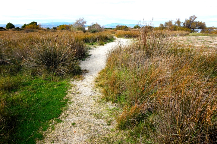 Que faire au Barcarès