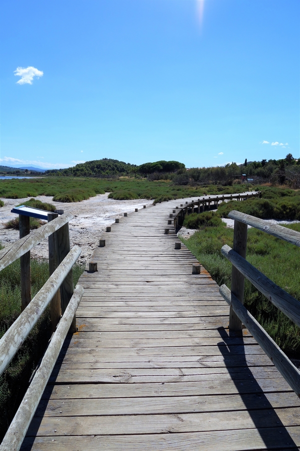 l'étang de Bages-Sigean