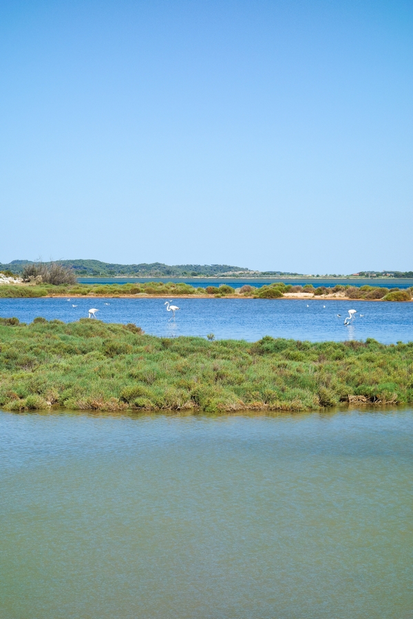 la route des étangs Bages Peyriac
