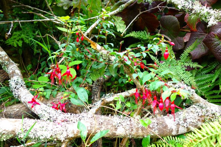 La Vallée Des Traouïero, Trégastel