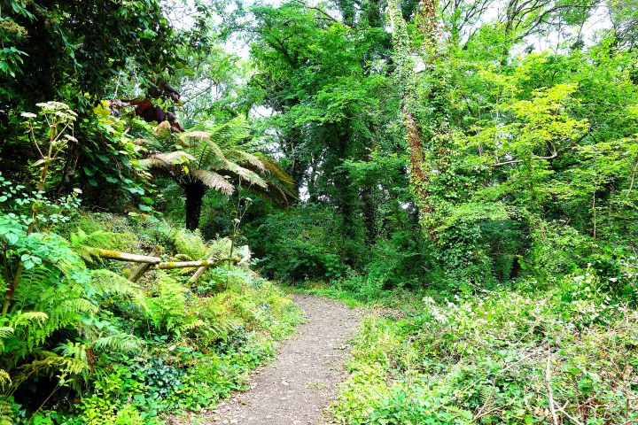 La Vallée Des Traouïero Trégastel