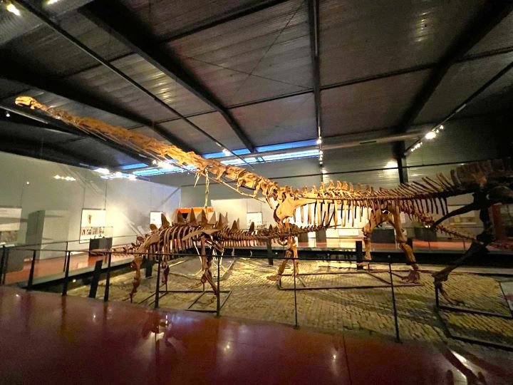 Le Musée des Dinosaures Espèraza