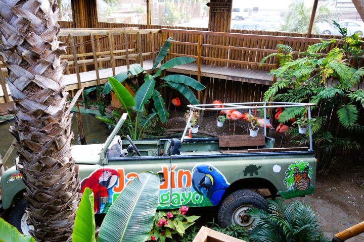 le Jardin del Papagayo