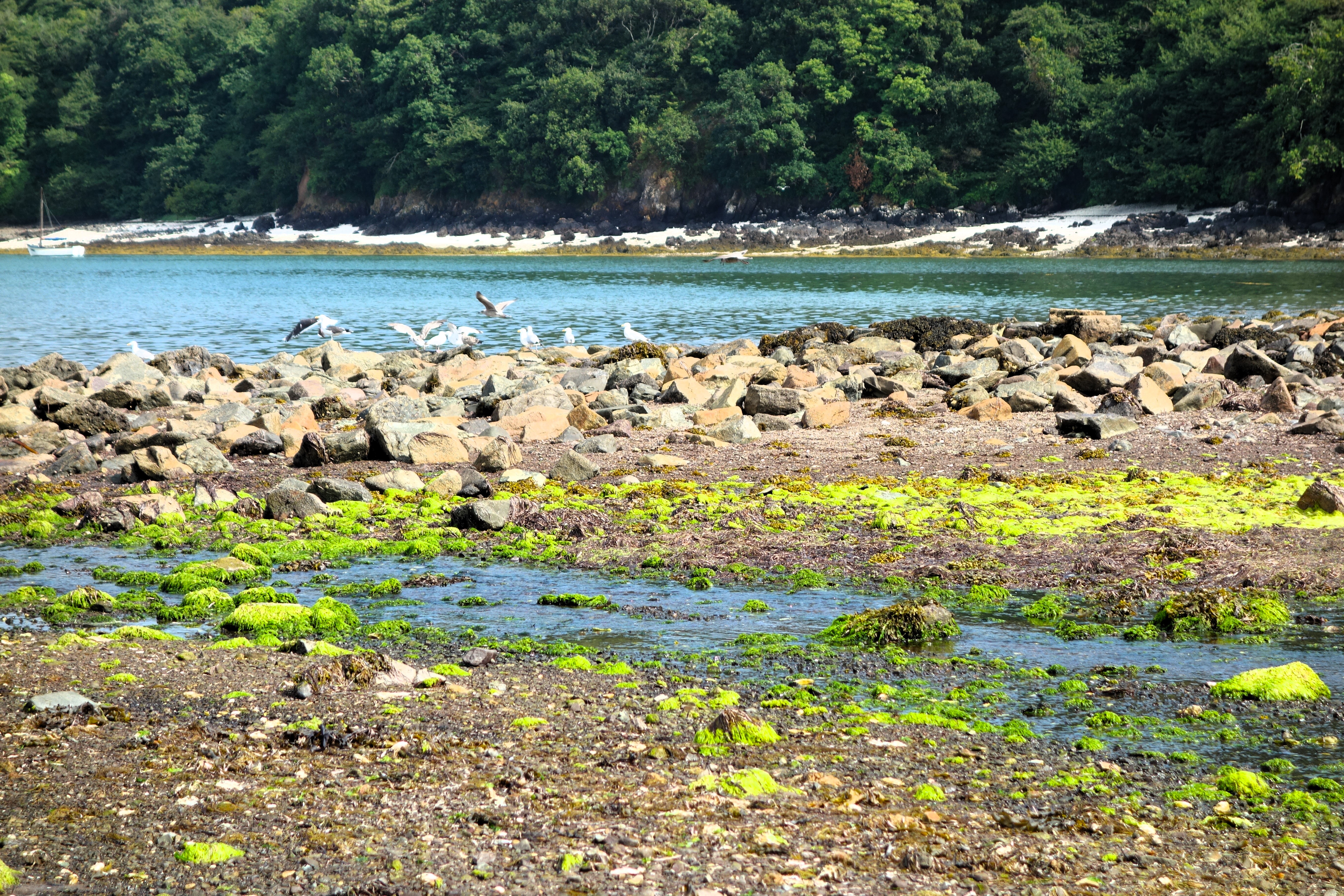 Le domaine de Beauport, Paimpol