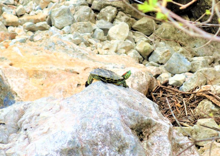 Le lac Kournas, Crète
