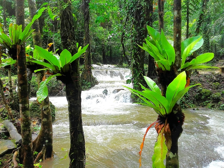 Les cascades de Sa Nang Manora, Thaïlande