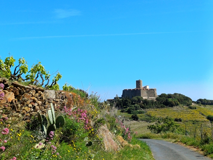 Le fort Saint-Elme, Collioure