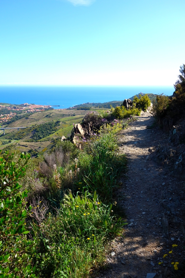 Sentiers de randonnée Collioure