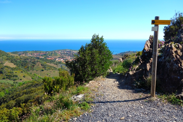 Sentiers de randonnée Collioure