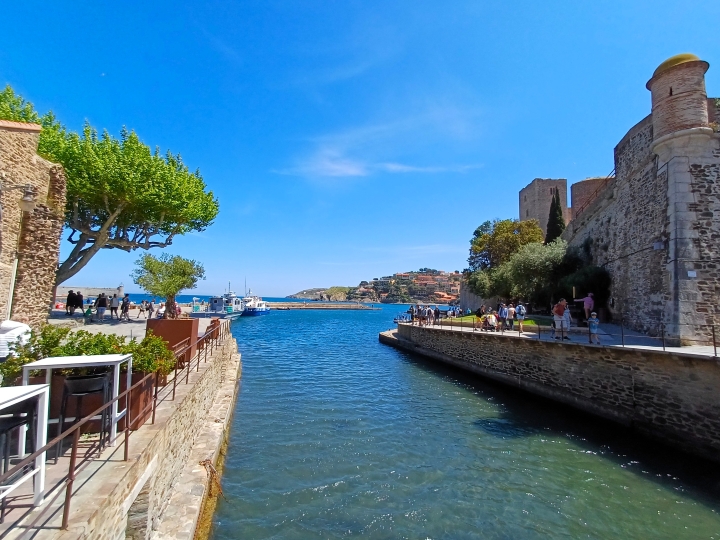 Le port de Collioure