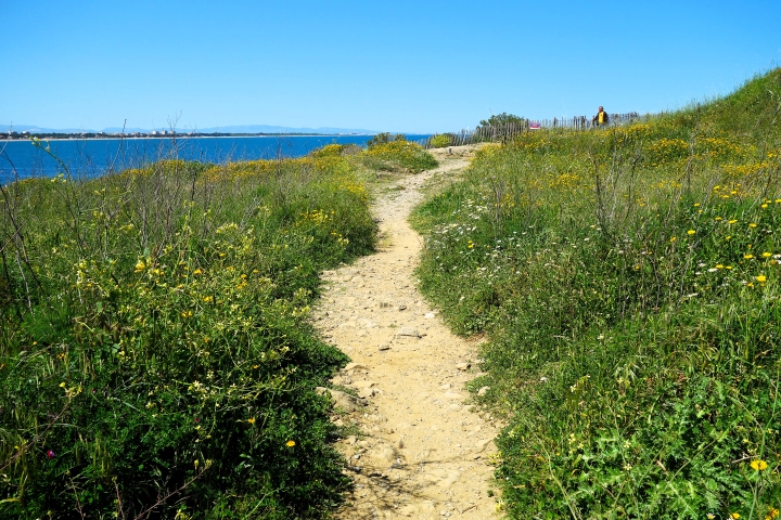 Le sentier du Littoral, Argelès-sur-Mer