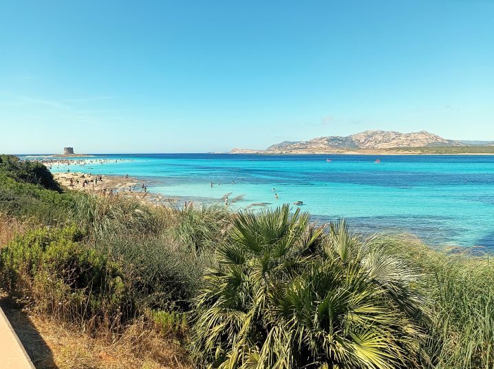 La Pelosa, Sardaigne