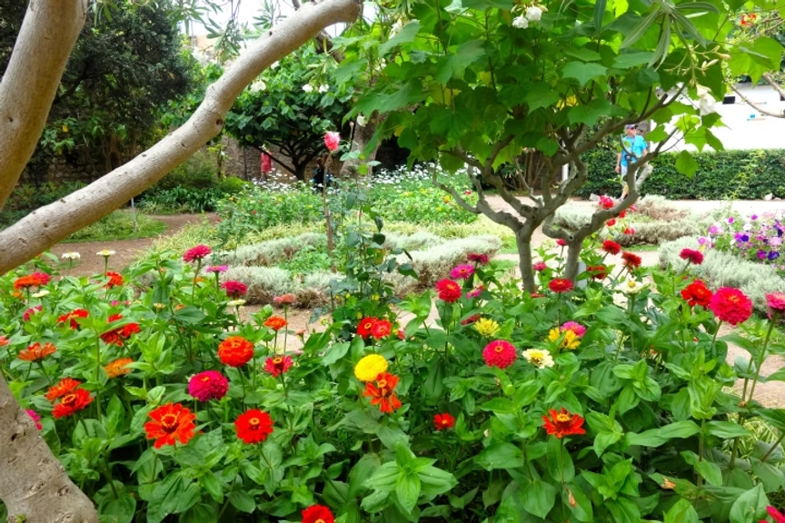 Le jardin botanique du château de Tavira, Algarve