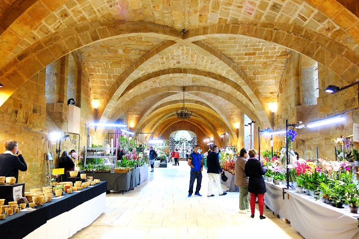 L'abbaye de Fontfroide, Aude