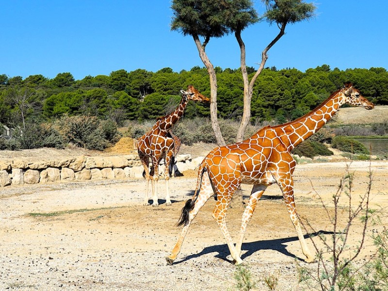 Que faire dans l&rsquo;Aude, les 20 incontournables