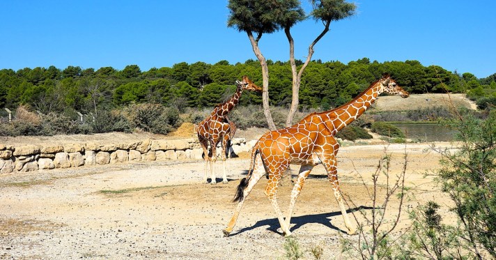 Que faire dans l'Aude, les 20 incontournables