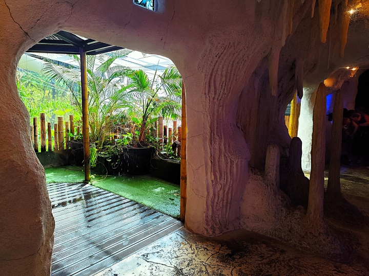 Aquarium Canet-en-Roussillon