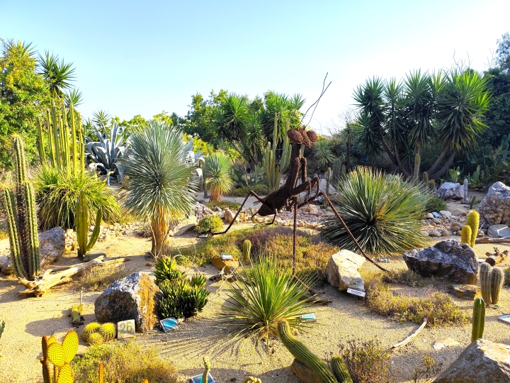 l’Arboretum de Canet-en-Roussillon