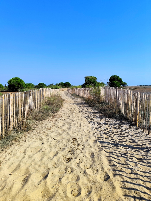 l’étang de Canet-Saint-Nazaire, Canet-en-Roussillon
