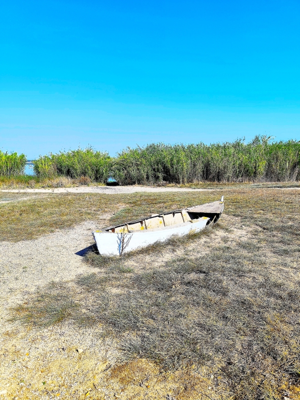 l’étang de Canet-Saint-Nazaire, Canet-en-Roussillon