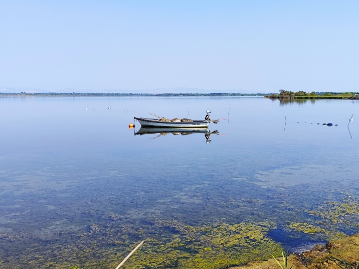 l’étang de Canet-Saint-Nazaire, Canet-en-Roussillon