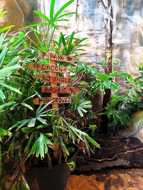 Oniria Canet-en-Roussillon