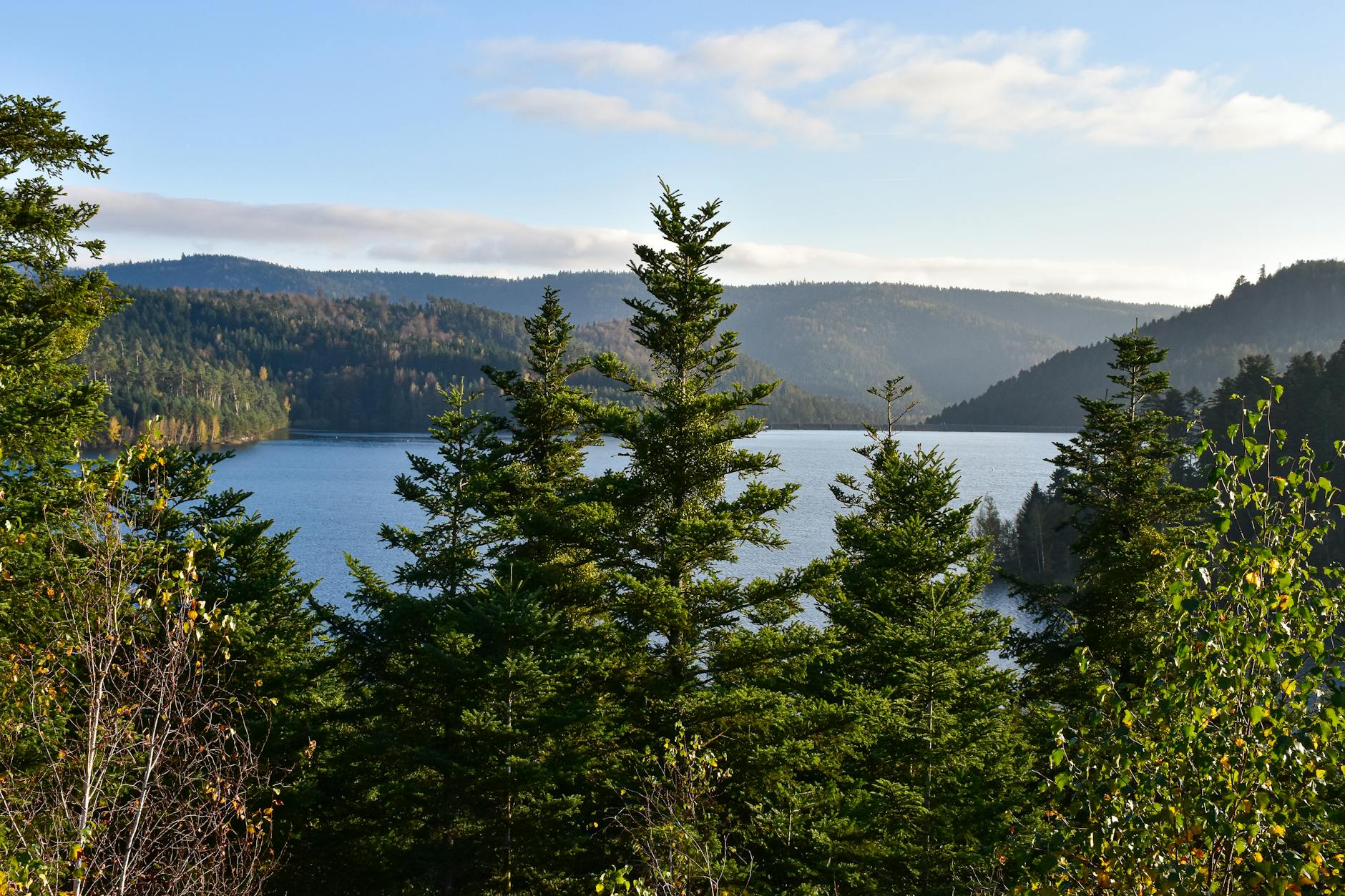 Les Vosges