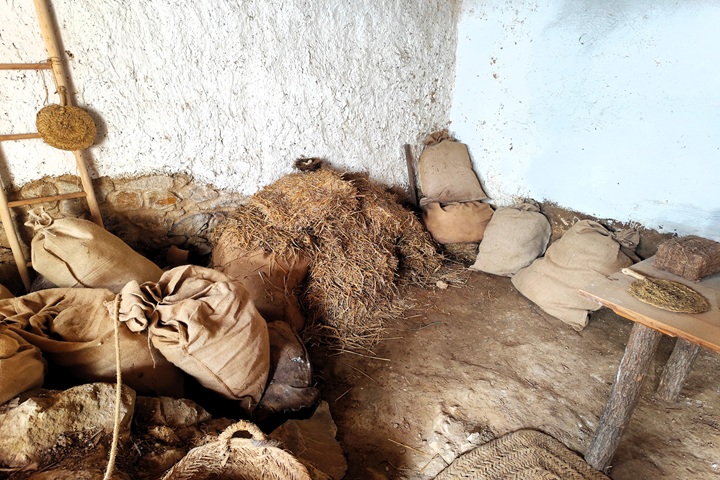 Le site ibérique de Turó Rodó dominant la crique de Sa Caleta
