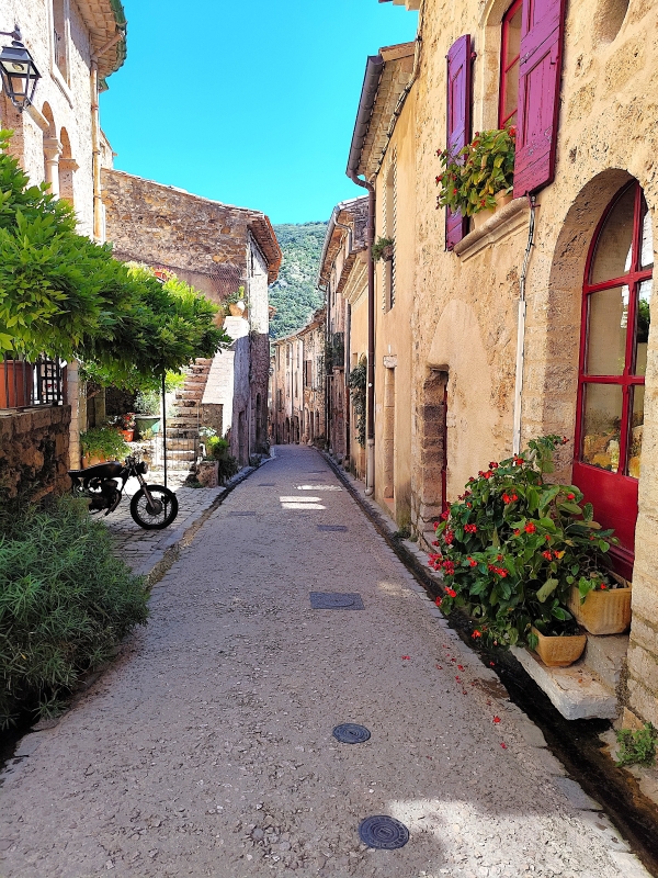 Que faire autour de Montpellier